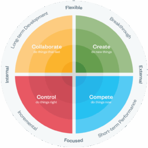 Haworth Culture in the Workplace